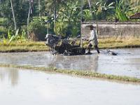 Diapo Bali 14