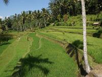 Diapo Bali 19