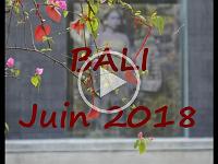 carte postale BALI juin-2018