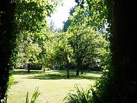 DSC02950
