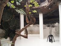 Fondation Manrique 2013 17