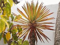 Fondation Manrique 2013 38
