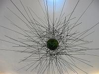 Jardin des cactus 20