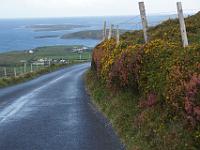 DSC04636