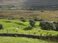 DSC07820