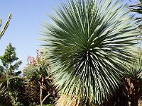 JARDIN BOTANIQUE09