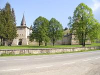 site Bucovine 019